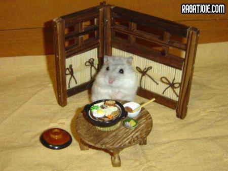 mon hamster