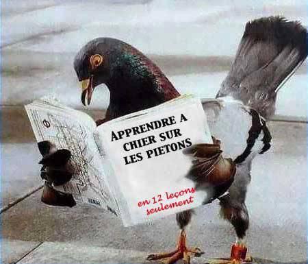 alors ...