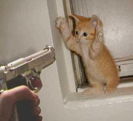 MIAOU