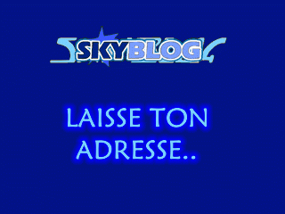 LAISSE VOTRE  SKYBLOG